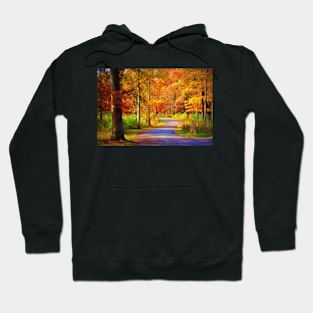 Enveloped in Fall Hoodie